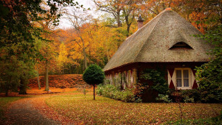 Small house woods autumn leaves 2 - a small house free wallpaper