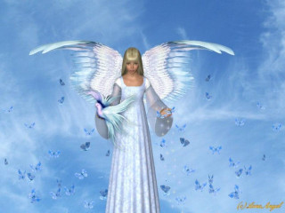 White angel blue bird blue - a white angel free wallpaper