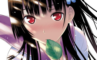 Girl red eyes leaf smile - red free wallpaper for desktop