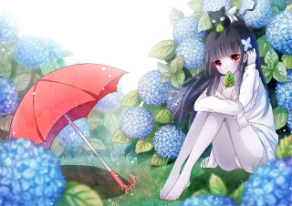 Girl sitting umbrella cat head - her hand and a cat free wallpaper