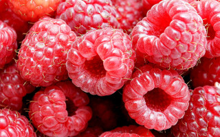 Raspberries closeup waterdrops red background - drop of water free wallpaper