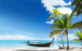 Boat beach palm trees blue 2 - palm tree free wallpaper
