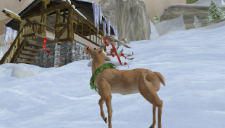 Deer snowy landscape cabin bird - cedric seaut keos masons free wallpaper for desktop