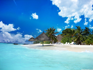 Beach palm trees ocean sky 2 - free bikini wallpaper