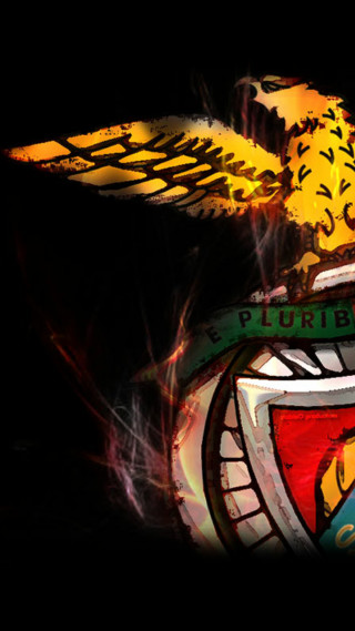 Fire hydrant bird top hose - almada negreiro free wallpaper