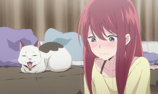 Girl pink hair cat bed - aguri uchida free wallpaper