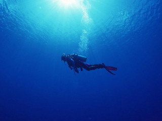 Scuba diver ocean sun swimming - the ocean free wallpaper