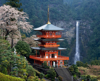 Tall pagoda waterfall trees foreground - a waterfall in the background free wallpaper