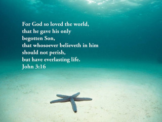 Starfish bible verse sandy ocean - a starfish free wallpaper