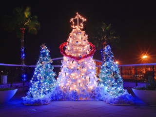 Large christmas tree lights decorations - side and a clock free wallpaper