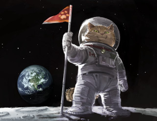 Cat astronaut flag moon planet - chris labrooy free wallpaper