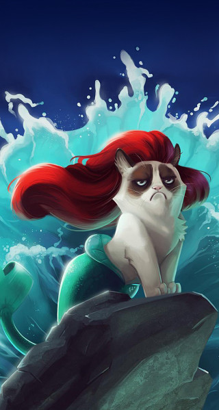 Cat sitting rock ocean wave - in the ocean free wallpaper