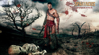 Man sword field blood death - a sword free wallpaper for desktop