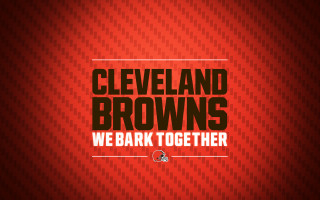 Cleveland browns wallpaper we dark - regionalism free wallpaper