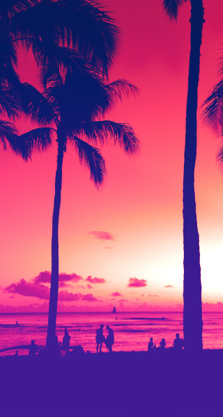 Beach walkers palm trees sunset - sunset free wallpaper