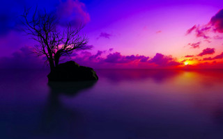 Lone tree silhouette purple sunset 4 - a lone tree free wallpaper