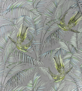 Green bird palm leaves gray - gray free wallpaper