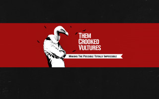 Black red striped man bird - background free wallpaper for desktop