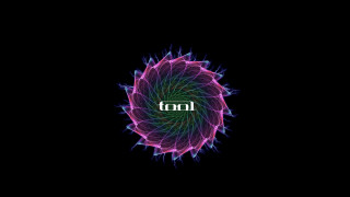 Colorful flower hot black background - hot free wallpaper