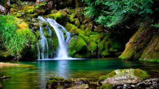 Waterfall forest mossy rocks trees 17 - mossy rock and trees free wallpaper
