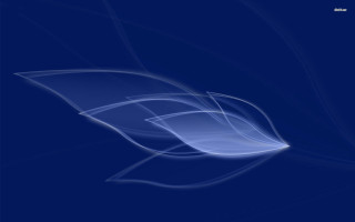 Blue background white flower side 2 - a.b. frost free wallpaper