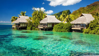 Huts hillside ocean lush green 3 - clear blue water free wallpaper