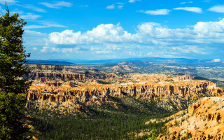 Mountain range clouds forest sky - ambrose mccarthy patterson free wallpaper