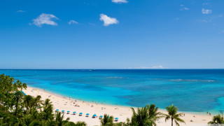 Beach people blue water palm - beautiful scenery free wallpaper for desktop