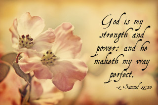 Flower bible verse dionisius naturalism - a bible verse free wallpaper