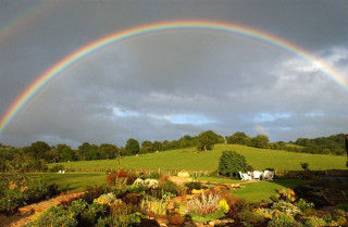 Rainbow green field house trees - a house and trees free wallpaper