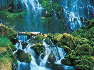 Waterfall moss rocks water log 7 - the rock and water free wallpaper