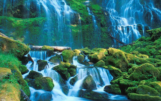 Waterfall moss rocks water log 6 - the rock and water free wallpaper