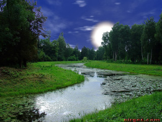 River lush forest full moon - a full moon free wallpaper