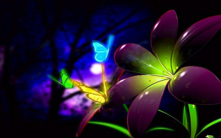 Flower butterfly night dark tree - macro art free wallpaper
