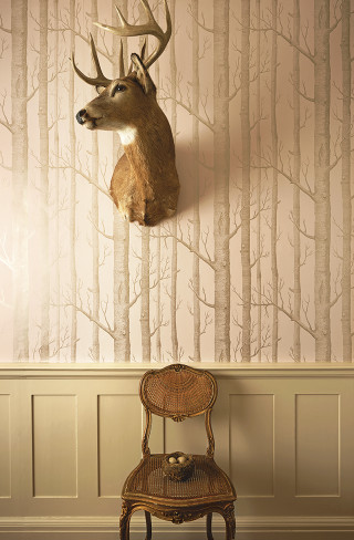 Deer head wall mounted chair - a wall next free wallpaper