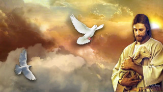 Man holding dog dove flying - cloud behind free wallpaper