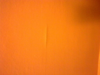 Bathroom yellow wall toilet seat - a toilet free wallpaper
