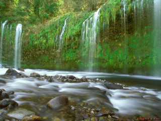 Waterfall rocks green plants stream - free nature wallpaper