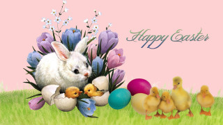 Happy easter bunny chicks grass - beatrix potter free wallpaper