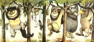 Cats trees forest turtle crawling - a group of cats free wallpaper