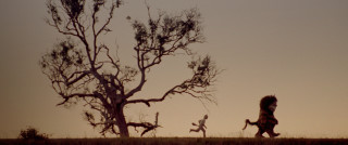Person running field tree sunset - a tree in the background free wallpaper