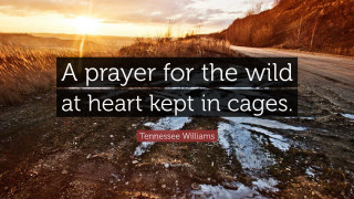 Quote road prayer wild heart - wild free wallpaper