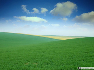Green field blue sky clouds 34 - a green field free wallpaper