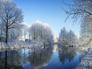 Snowy forest lake bench cherry - snow next free wallpaper