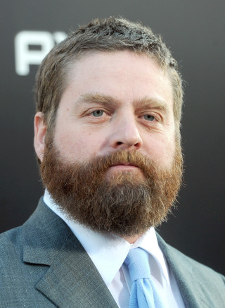 Bearded man suit blue tie - a portrait free wallpaper