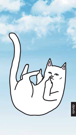 White cat laying blue sky - its face free wallpaper