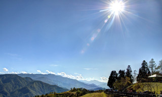 Sunny mountain lake forest bush - a grassy field free wallpaper