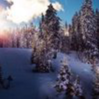 Snow covered forest sky clouds - a detailed matte painting free wallpaper