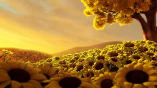 Sunflower field tree sunset clouds 4 - a field of sunflowers free wallpaper