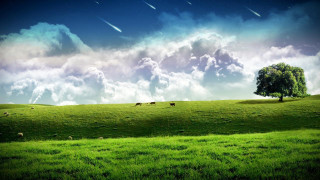 Green field tree clouds stars - beautiful landscape free wallpaper